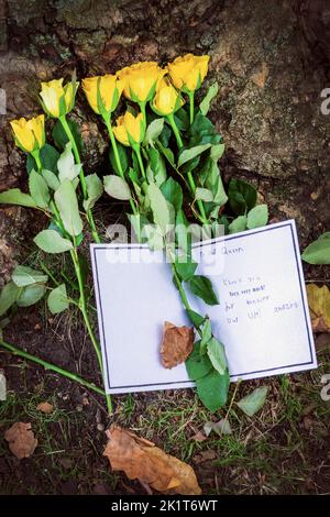 Blumen und Dankesschreiben in der Nähe des Buckingham Palastes, Hommage an Queen Elizabeth, London, Großbritannien Stockfoto