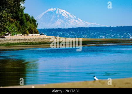 Sommer Blick auf schneebedeckten Mt. Ranier; 14.410'; aktiver Vulkan; von Whidbey Island aus gesehen; Washington; USA Stockfoto