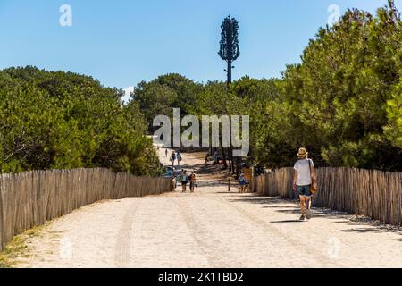 Mobilfunkturm als Baum verkleidet am Strand von Lacanau-Océan, Lesparre-Médoc, Frankreich Stockfoto