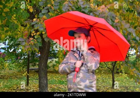 Junge mit Regenschirm am Herbsttag. Das Kind grillend. Hinter dem Rücken des Jungen herrlich gelber Baum. Er versucht, einen Regenschirm im Wind zu halten. Stockfoto