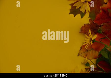 Festliches Herbstdekor aus Kürbissen, Beeren und Blättern. Konzept des Erntedankfestes oder Halloween. Flach Lay Herbst Komposition mit Kopierraum. Stockfoto