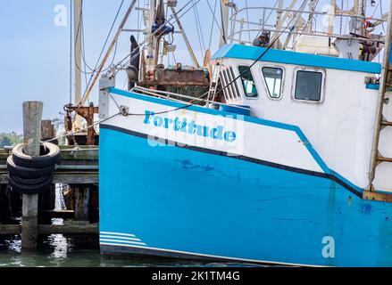 Bug des Fischerbootes, Fortitude Stockfoto