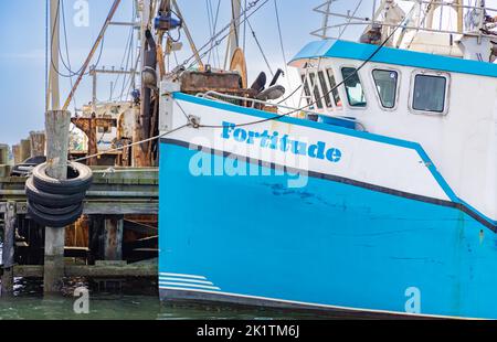 Bug des Fischerbootes, Fortitude Stockfoto