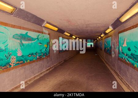 U-Bahn-Unterführung mit Aquarium-Graffiti Stockfoto