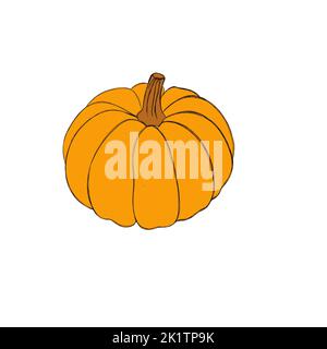 Kürbis Aquarell Zeichnung freie Hand. Kürbis zum Erntedankfest. Heller Kürbis für Halloween Stockfoto