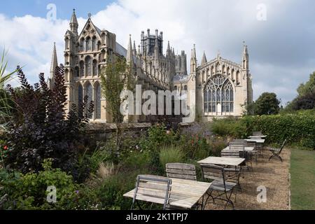 Blick vom Restaurantgarten und der Terrasse auf die anglikanische Ely Cathedral, die ehemals die Kathedrale der Heiligen und ungeteilten Dreifaltigkeit darstellt Stockfoto