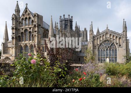 Blick vom farbenfrohen Garten der anglikanischen Ely Cathedral, der ehemaligen Cathedral Church of the Holy and Undivided Trinity in Cambridgeshire, Großbritannien Stockfoto