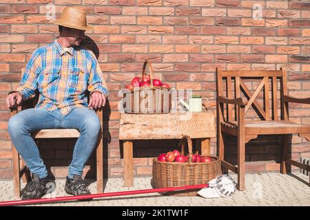 Bauer sitzt und schaut auf die frisch geernteten Äpfel. Reife rote Früchte im Weidenkorb auf dem Tisch. Landwirt erntet, pflückt. Obstpflücker. Stockfoto