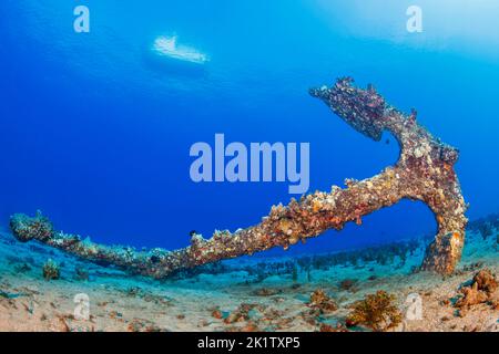 Ein alter Anker liegt auf einem sandigen Grund vor der Insel Maui, Hawaii, USA. Ein Boot auf der Oberfläche zeugt von dem klaren Wasser. Stockfoto