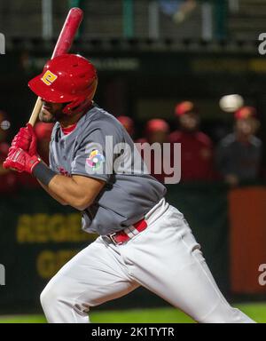 Regensburg, Bayern, Deutschland. 20. September 2022. Der spanische Schläger GABRIEL LINO vermeidet es, in der WM-Qualifikation gegen Großbritannien in der Armin Wolf Baseballarena in Regensburg von einem Pitch getroffen zu werden. (Bild: © Kai Dambach/ZUMA Press Wire) Stockfoto