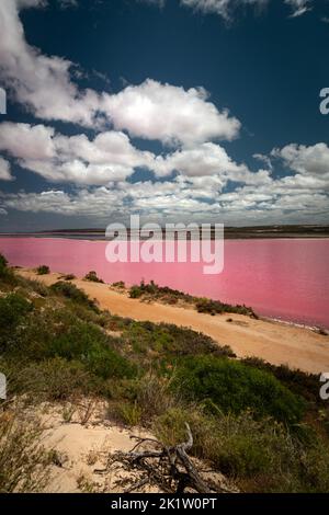Der wunderschöne salzrosa See, die Hutt Lagoon, mit einem blauen Himmel und weißen Wolken in Western Australia Stockfoto