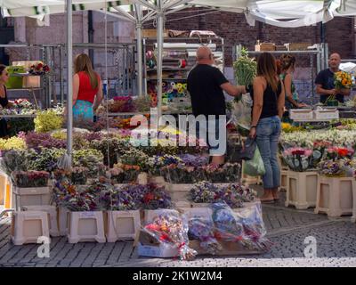 Eine Gruppe von Menschen auf einem offenen Blumenmarkt in Cremona, die Blumen auswählen Stockfoto
