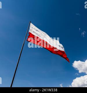 Die rot-weiße Flagge Polens flattert im Wind Stockfoto