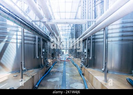 Große Tanks für die Gärung in der modernen Kellerei. Stockfoto