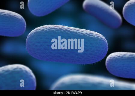 Mikroskopische Ansicht von Bazillus-Bakterien. 3D Abbildung. Stockfoto