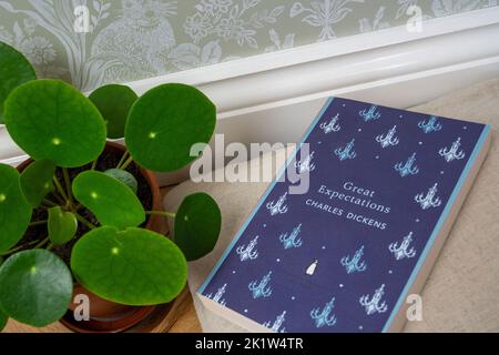 Das Buch „Great Expectations“ von Dickens auf einem neutralen Bodenkissen und einer pilea-Pflanze in einem Topf daneben Stockfoto