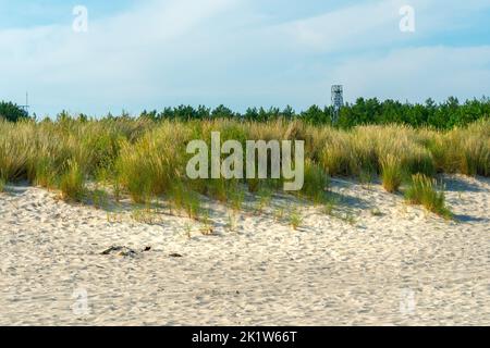 Alter militärischer Beobachtungsturm am Strand von Hel, Polen. Sandstrand mit grünem und gelbem Gras an einem schönen Sommertag. Stockfoto