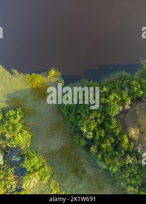 Detail einer Luftaufnahme des amazonas-Regenwaldes Stockfoto