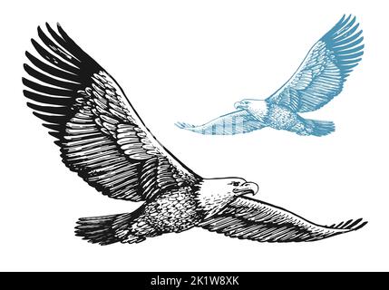 Weißkopfseeadler mit ausgebreiteten Flügeln im Flug isoliert auf weißem Hintergrund. Vogelvektor-Illustration im Vintage-Gravurstil Stock Vektor