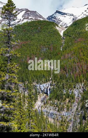 Bridal Veil Falls; Bow River Valley; Banff National Park; Alberta; Kanada Stockfoto
