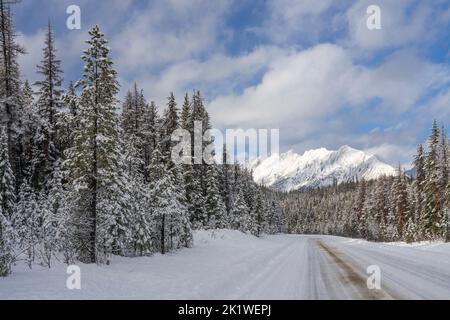 Ein Berg- und Waldgebiet entlang der Maligne Lake Road im Winter, Jasper National Park, Alberta, Kanada. Stockfoto