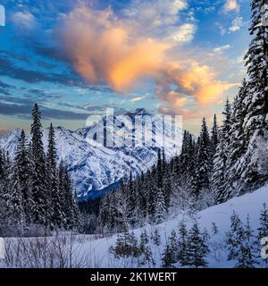 Entlang der Maligne Lake Road im Winter, Jasper National Park, Alberta, Kanada. Stockfoto