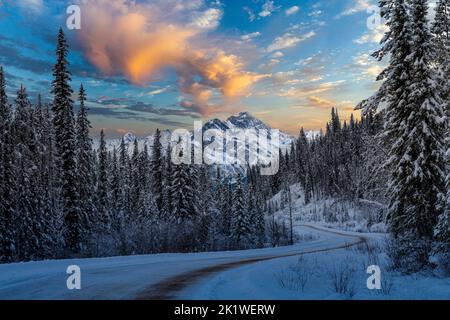 Entlang der Maligne Lake Road im Winter, Jasper National Park, Alberta, Kanada. Stockfoto