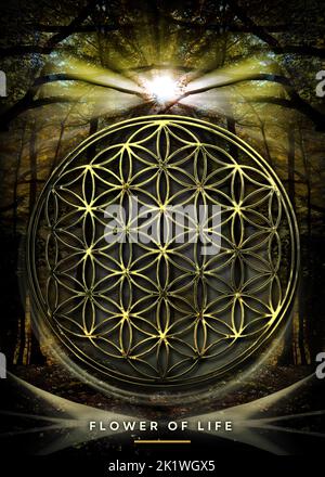 Poster, Tapete mit Blume des Lebens in schöner, mystischer Naturlandschaft (Österreichischer Wald) Stockfoto