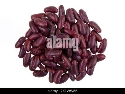 Hülsenfrüchte sind essbare Samen von Hülsenfrüchten wie Erbsen, Bohnen, Linsen usw. Dunkelrote Nierenbohnen, Phaseolus vulgaris, auf dem Bild. Stockfoto