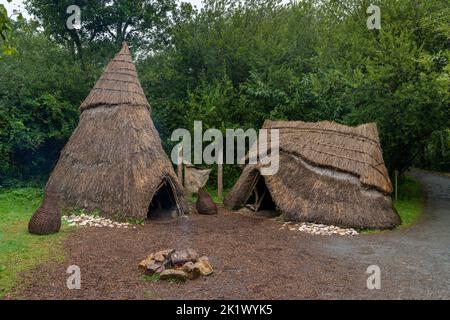 Wexford, Irland - 18. August 2022: Campingplatz aus der Mittelsteinzeit mit reetgedeckten Hütten und offenem Feuer im Irish National Heritage Park Stockfoto