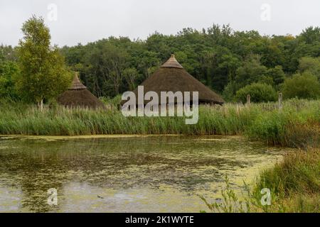 Wexford, Irland - 18. August 2022: Blick auf eine typische Crannog- oder künstliche Insel in einem See im Irish National Heritage Park Stockfoto