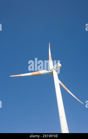 Die drei Segel einer Vestas-Windenergieanlage auf dem Windpark auf Paul da Serra im Zentrum von Madeira Stockfoto