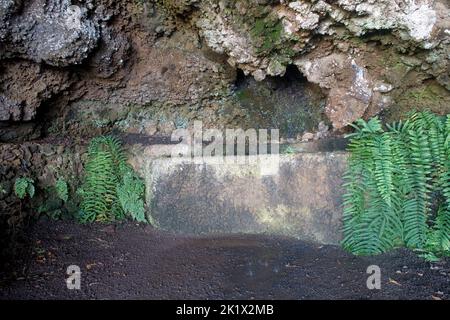 Lover's Cave in den botanischen Gärten von Funchal Madeira Stockfoto