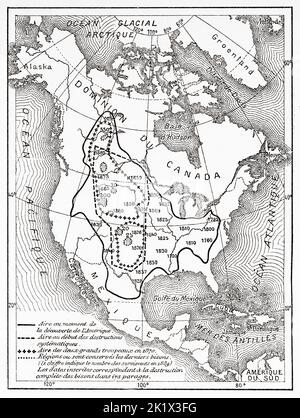 Karte zur Vernichtung des amerikanischen Bisons in den Vereinigten Staaten von 1730 bis 1890, USA. Alte, gravierte Illustration aus dem 19.. Jahrhundert von La Nature 1890 Stockfoto