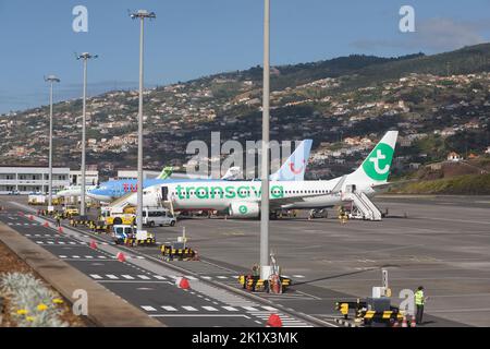 Transavia und TUI Flugzeuge auf dem Stand am Cristiano Ronaldo Flughafen Madeira Stockfoto