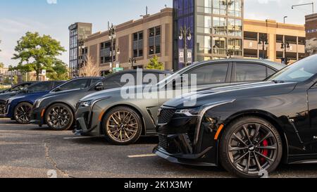 DETROIT, MI/USA - 17. SEPTEMBER 2022: Mehrere Cadillac V-Autos im Detroit Concours 'd Elegance. Stockfoto