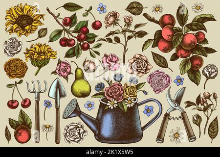 Gartenarbeit handgezeichnete Vektor-Illustrationen Sammlung. Farbige Gießkannen, Äpfel, Kirsche, Rose, Birnen, Schaufel, Rechen, Scheren, Kamille, Sonnenblume Stock Vektor