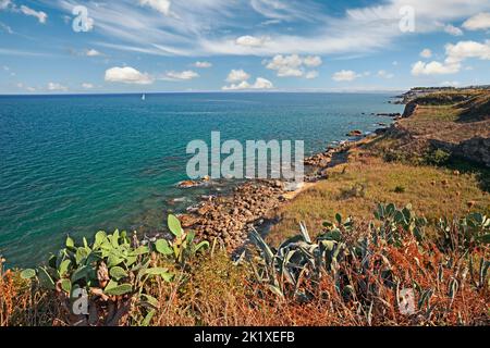 Punta Penna, Vasto, Abruzzen, Italien: mediterrane Klippenlandschaft an der Adriaküste mit wilden Pflanzen und Kakteen Stockfoto