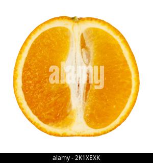 Orange isoliert auf weißem Hintergrund. Realistisches Bild von Orange. Darstellung des Vektornetzgewebes. Stock Vektor