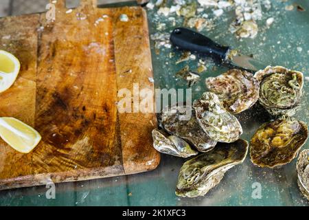 Frische Austern auf dem Tisch, Holzschneidebrett, Messer. Rustikaler Hintergrund Stockfoto