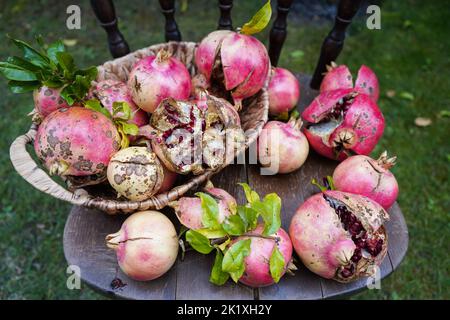 Reife, frische Granatapfelfrucht mit Blättern und offenem Granatapfel auf einem alten Holzstuhl Stockfoto