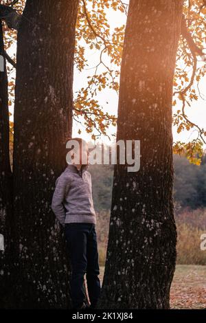 Junge 9-10 Jahre alt steht zwischen zwei dicken Eichenstämmen draußen im Herbstpark in Strahlen untergehende Sonne und schaut nachdenklich zur Seite. Dunkelhaarige Tochter Stockfoto