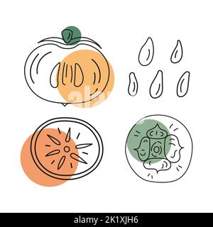 Skizzieren Vektor-Illustration von Kakimmons ganz und geschnitten mit Gruben. Abstrakte Farbformen. Stock Vektor