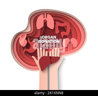 Organspende 3D Vektor Rettung Leben Konzept Stock Vektor