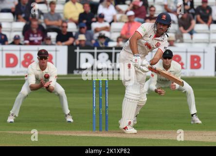 CHELMSFORD ENGLAND - 20. SEPTEMBER : Essex's Sir Alastair Cook in Aktion während LV= COUNTY CHAMPIONSHIP - DIVISION ONE Day One von 4 Match zwischen Essex Stockfoto