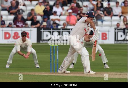 CHELMSFORD ENGLAND - 20. SEPTEMBER : Essex's Sir Alastair Cook in Aktion während LV= COUNTY CHAMPIONSHIP - DIVISION ONE Day One von 4 Match zwischen Essex Stockfoto