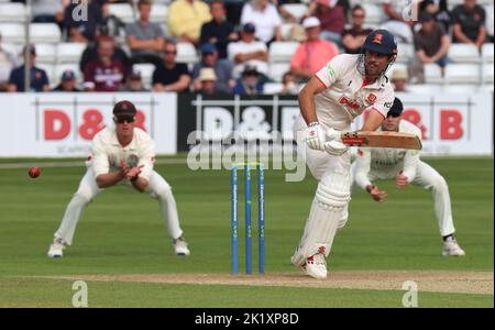 CHELMSFORD ENGLAND - 20. SEPTEMBER : Essex's Sir Alastair Cook in Aktion während LV= COUNTY CHAMPIONSHIP - DIVISION ONE Day One von 4 Match zwischen Essex Stockfoto