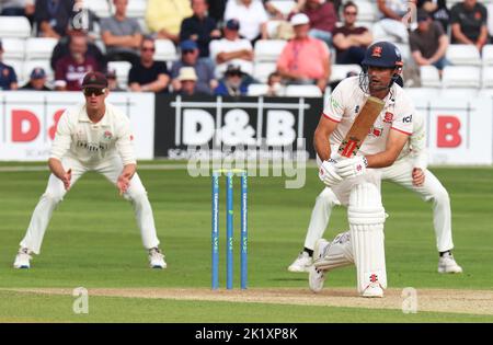 CHELMSFORD ENGLAND - 20. SEPTEMBER : Essex's Sir Alastair Cook in Aktion während LV= COUNTY CHAMPIONSHIP - DIVISION ONE Day One von 4 Match zwischen Essex Stockfoto