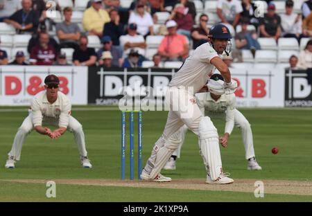 CHELMSFORD ENGLAND - 20. SEPTEMBER : Essex's Sir Alastair Cook in Aktion während LV= COUNTY CHAMPIONSHIP - DIVISION ONE Day One von 4 Match zwischen Essex Stockfoto