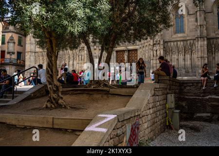Russian Z Graffiti an den Wänden in der Nähe der Kathedrale von Barcelona, Katalonien, Spanien 17. September 2022 - wo es mehrere Tage geblieben war. Ein Ukrainer Stockfoto